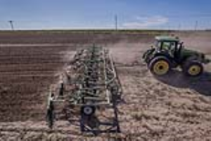 06 Fallow Master Orthman